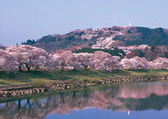 一目千本桜